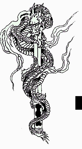 Kineska tetovaa zmaja