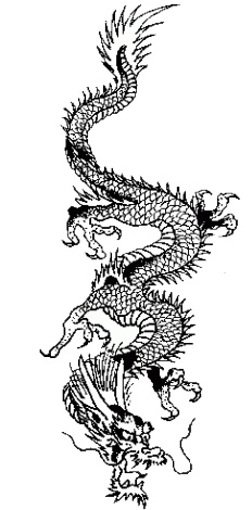 Kineska tetovaa zmaja