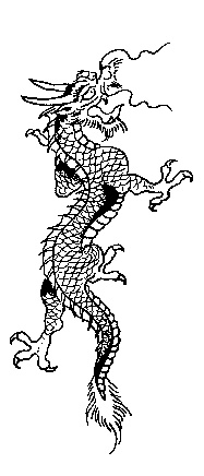tetovaa kineskog zmaja