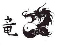 Tetovaa zmaja sa kineskim znakovima