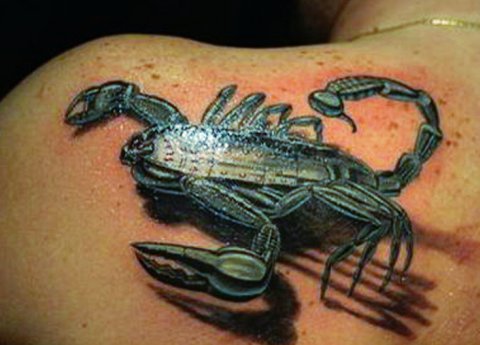 3d scorpion