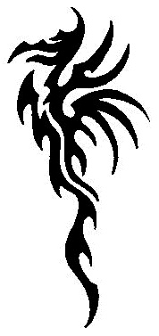 Tribal tetovaa zmaja