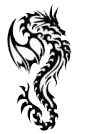 Tribal tetovaa zmaja